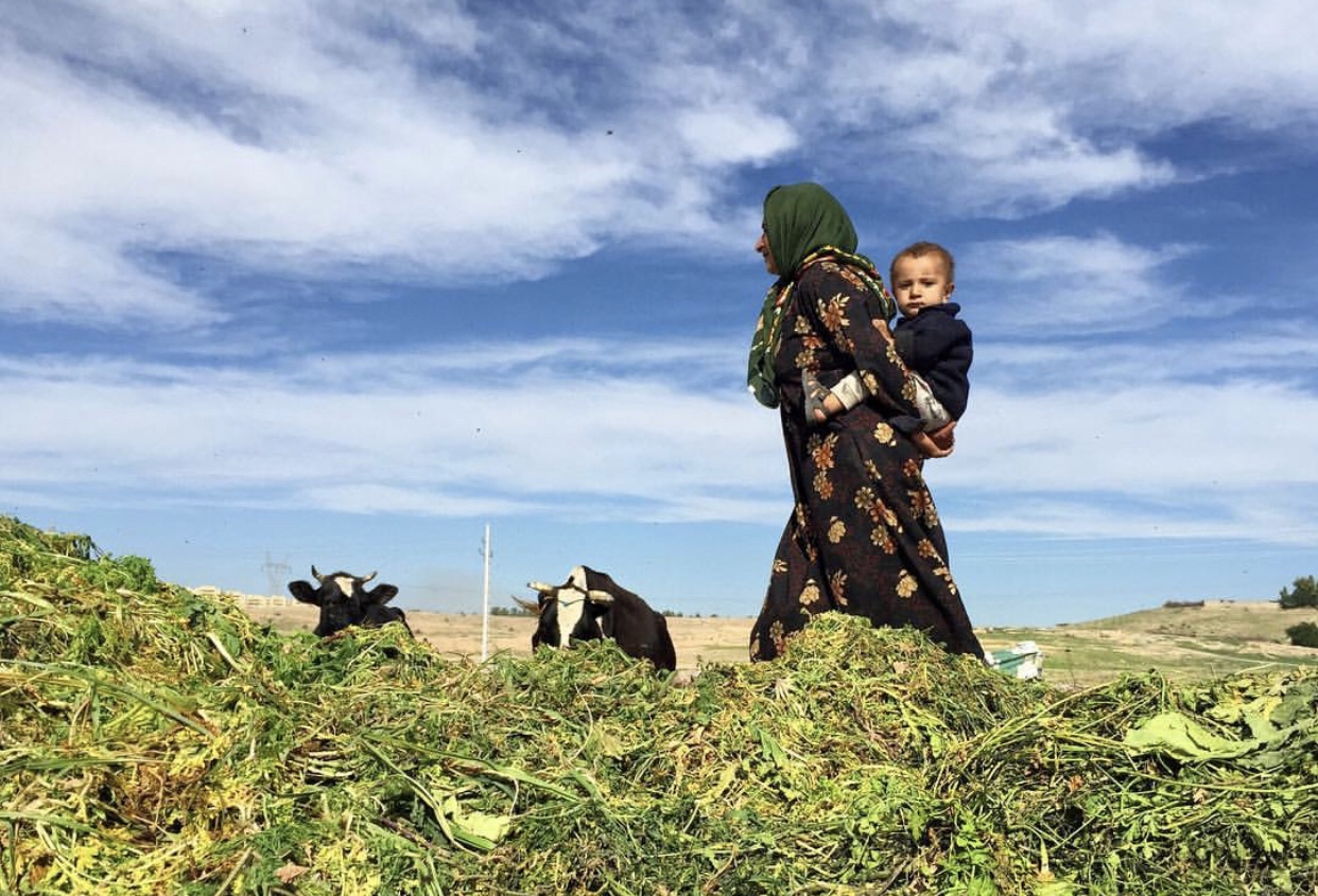 عدسة إيرانية: أمومة وسط الحقل 1
